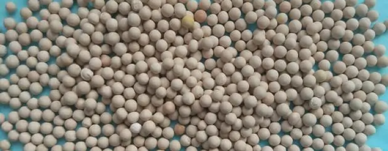 沸石分子篩具有哪些性能？